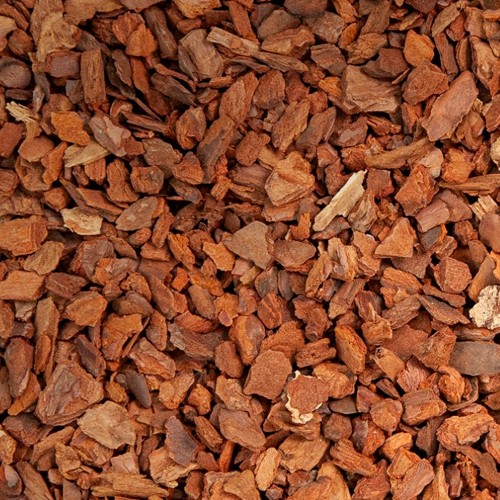 SUSTRATO CORTEZA DE PINUS MARITIMA JUNGLE BARK L