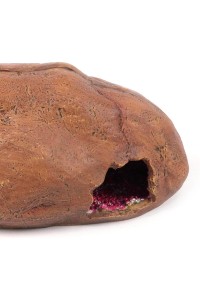 CUEVA ROJA PARA REPTIL TERRATLANTIS