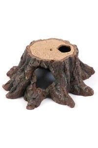 REFUGIO BASE TRONCO DE ÁRBOL CON AGUJERO