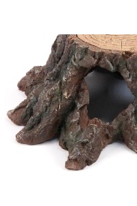 REFUGIO BASE TRONCO DE ÁRBOL CON AGUJERO