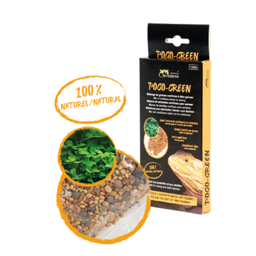 SEMILLAS NUTRITIVAS PARA POGONAS