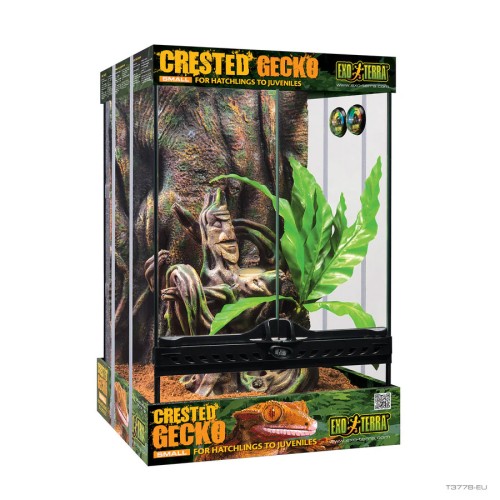 Kit Terrario pequeño para Gecko crestado EXO TERRA