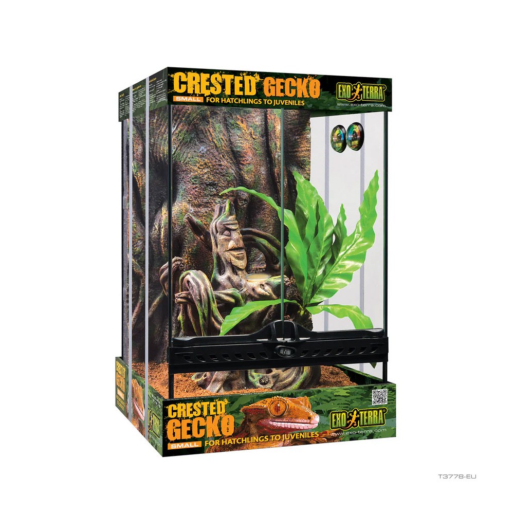 Kit Terrario pequeño para Gecko crestado EXO TERRA