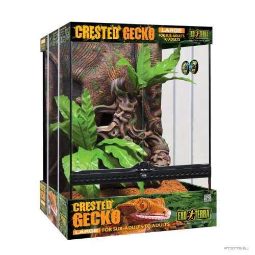 Kit Terrario Grande para Gecko crestado EXO TERRA