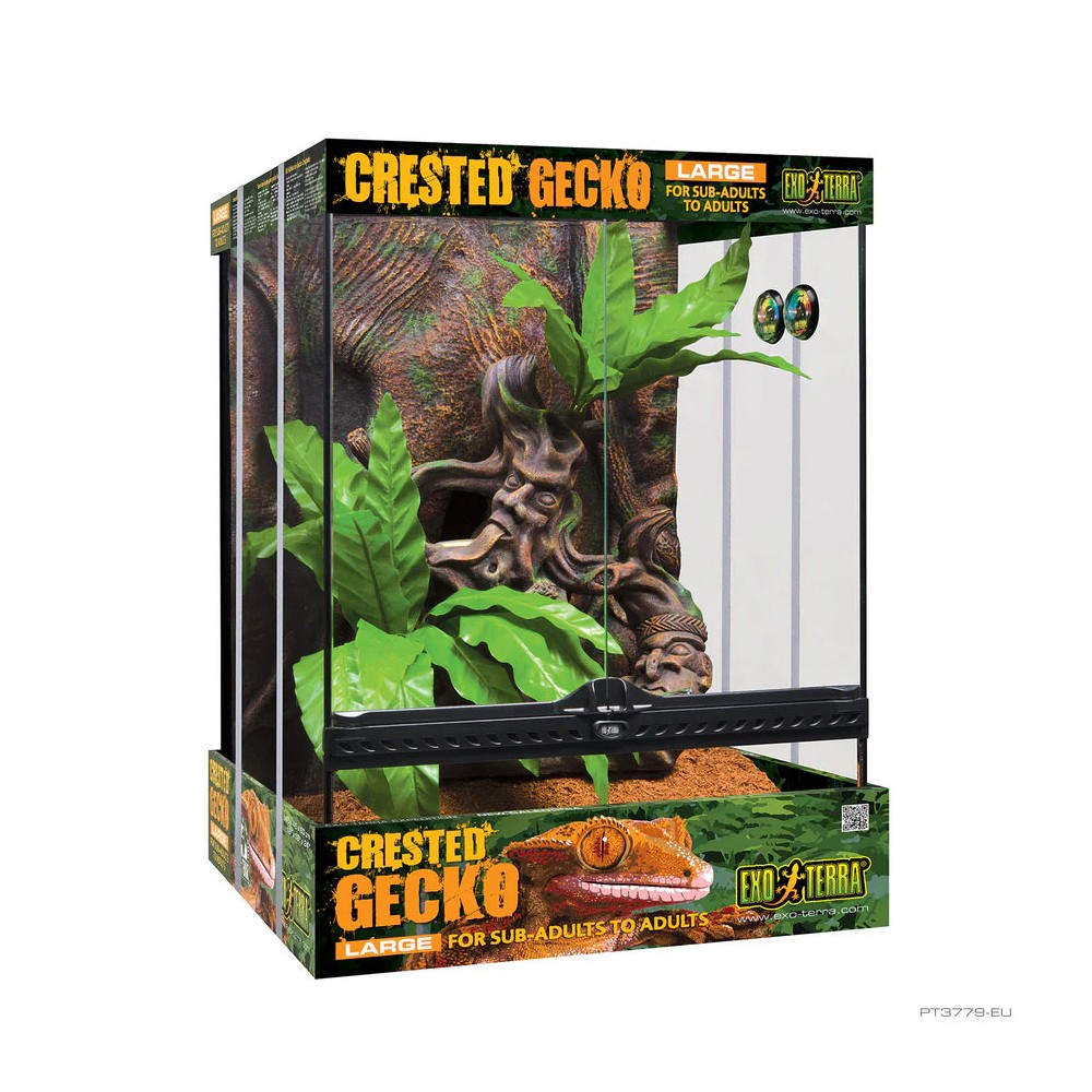 Kit Terrario Grande para Gecko crestado EXO TERRA
