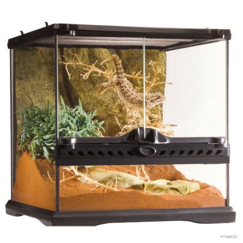 Terrario de Cristal Exo Terra Mini Tall