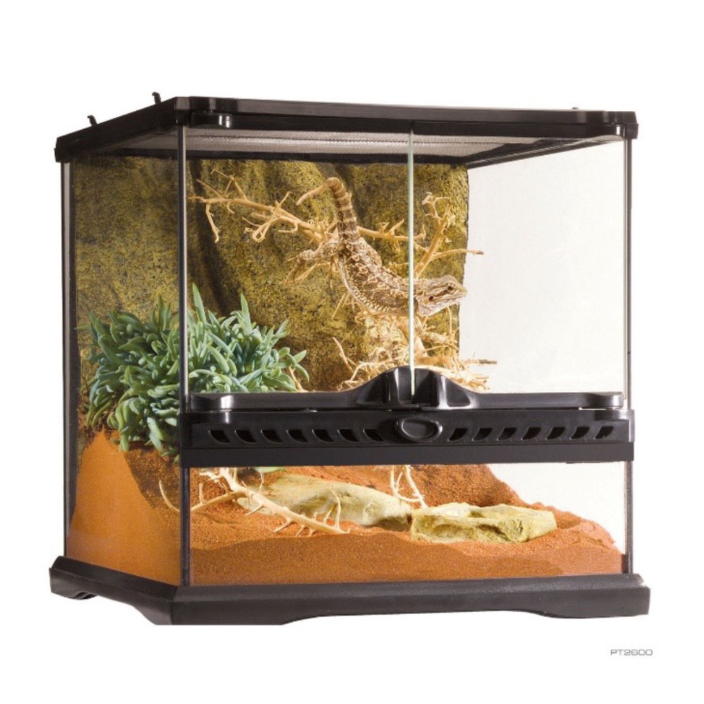 Terrario de Cristal Exo Terra Mini Tall