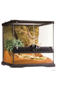 Terrario de Cristal Exo Terra Mini Tall