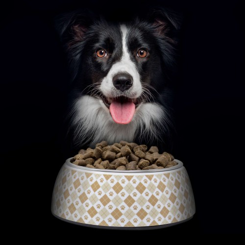 ALIMENTO SEMIHÚMEDO PARA PERROS ADULTOS CERDO Y PESCADO 75% NUTRADOG WILD