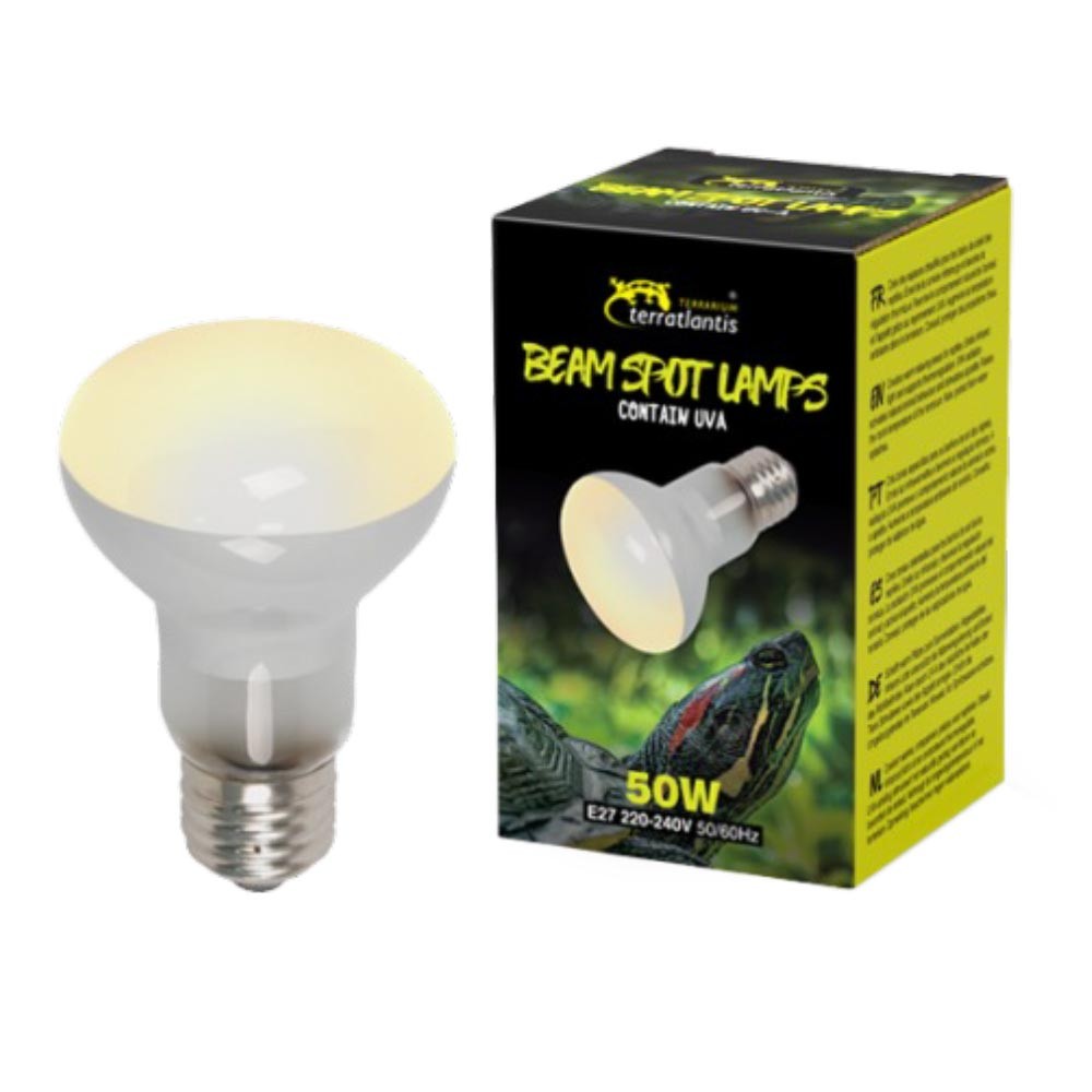 BEAM SPOT LAMPS 50w