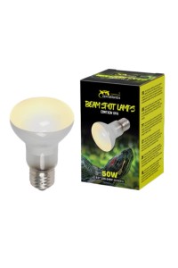 BEAM SPOT LAMPS 50w