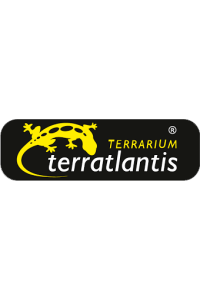 Terratlantis